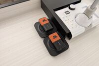 Pedestal - showing two wireless mics in charging base
